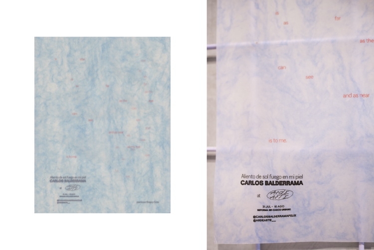 Carlos Balderrama at ARDE ARTE