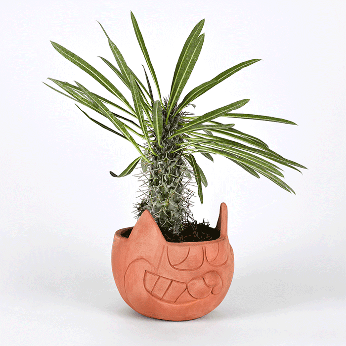 CAT X HEADPLANTER