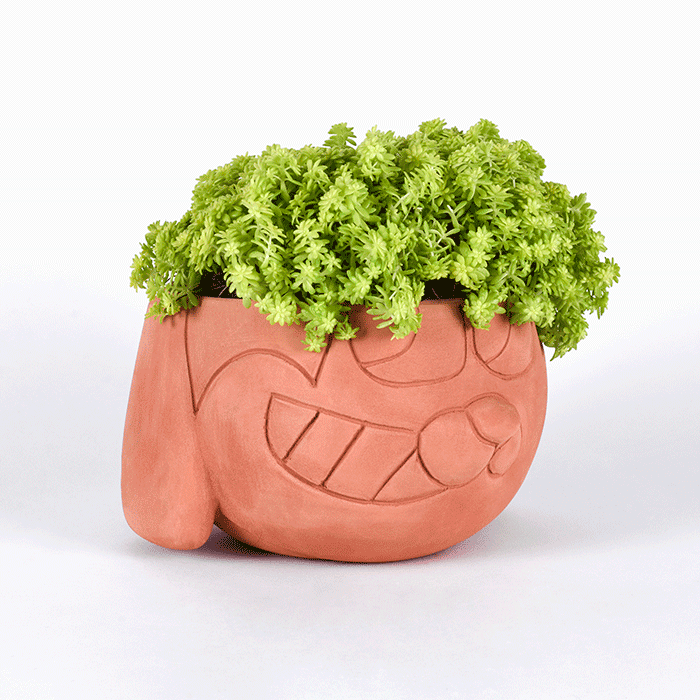 DOG X HEADPLANTER