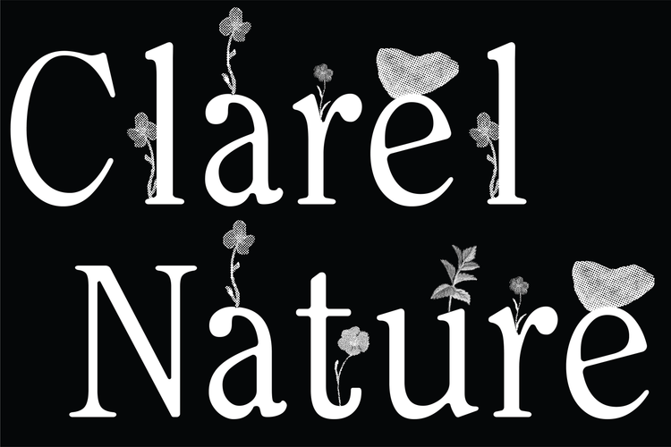 CLAREL NATURE