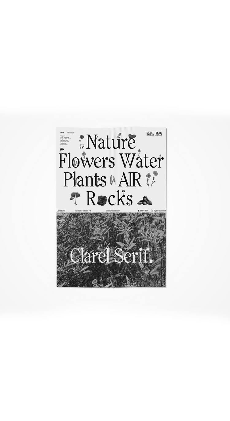 CLAREL SERIF POSTER